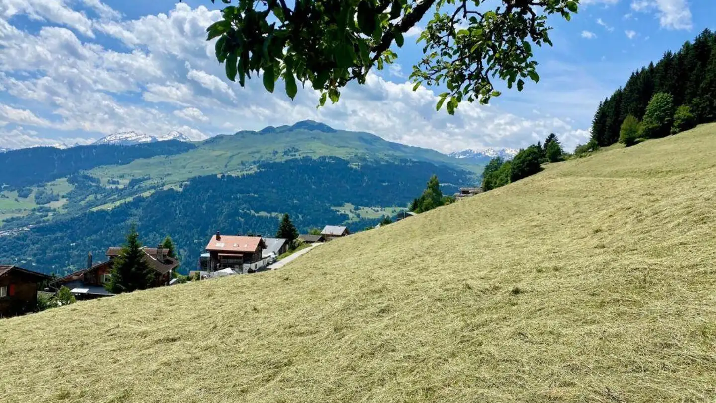 Einfamilienhaus kaufen - Via Veglia 21b, 7155 Ladir - Foto 3