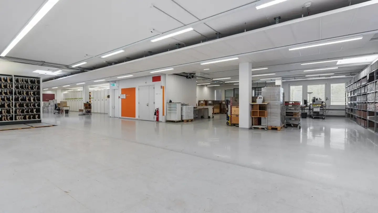 Commercial à louer - Birkenstrasse 43a, 6343 Rotkreuz - Photo 2