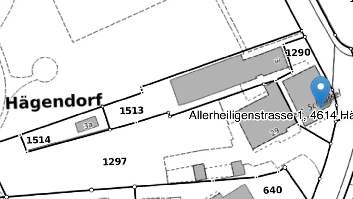 Einfamilienhaus kaufen - Allerheiligenstrasse, 4614 Hägendorf