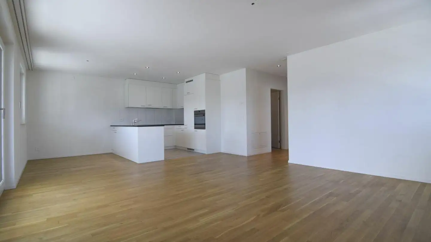 Appartamento in affitto - Wydenhagweg, 8262 Ramsen - Foto 3