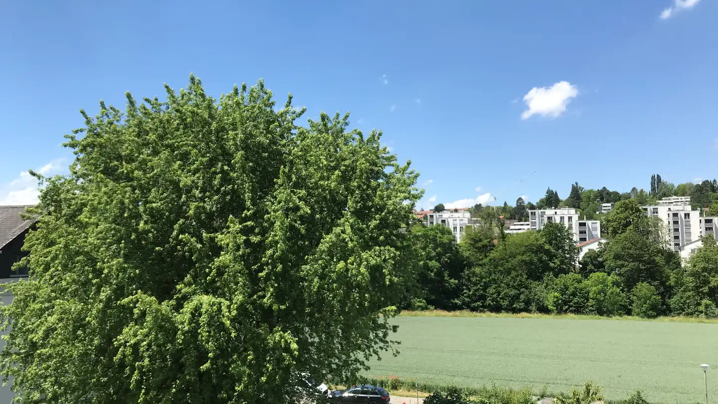 Attico in affitto - Im Wasen 9, 4104 Oberwil BL - Foto 3