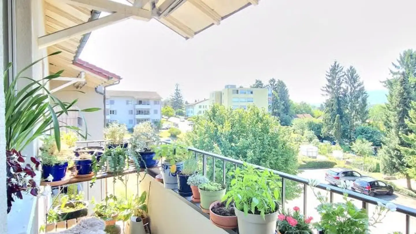 Wohnung mieten - Rauchackerstrasse 48, 8102 Oberengstringen - Foto 4