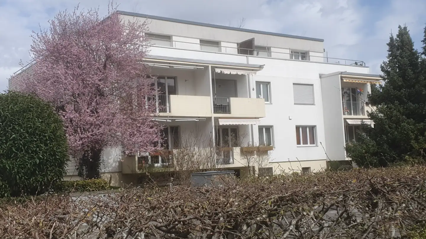 Appartement à louer - Aalmattenweg 39, 2560 Nidau