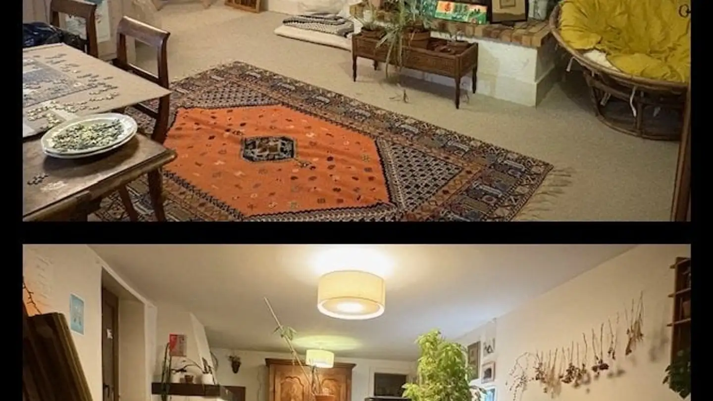 Chambre à louer - Chemin Des Crétets, 1242 Satigny - Photo 2