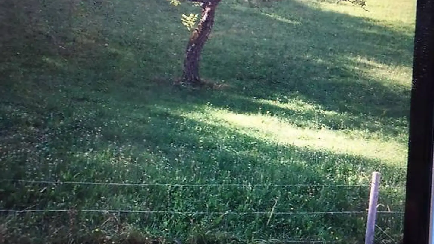 Terreno edificabile in vendita - 6900 Lugano