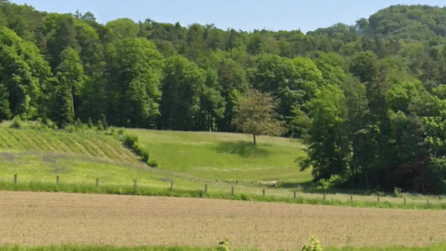 Single house for sale - Pfarrhofweg, 8262 Ramsen