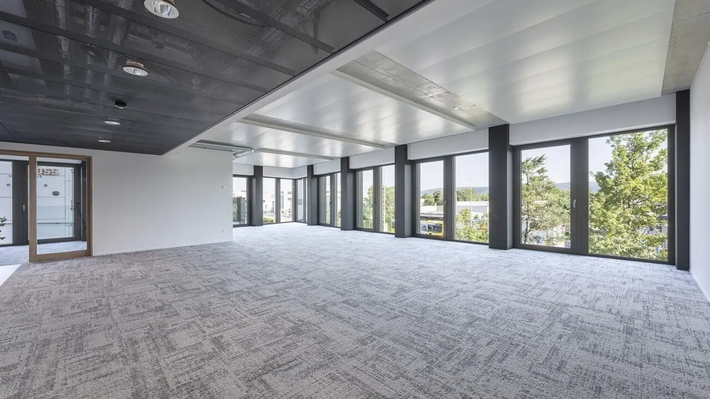 Commerciale in affitto - Hohenrainstrasse, 4133 Pratteln - Photo 2