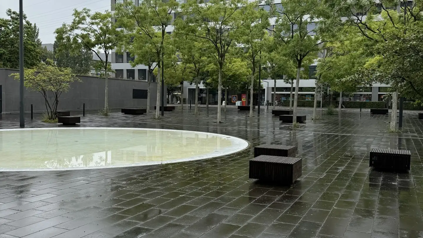 Appartamento in affitto - 8050 Zürich - Foto 2