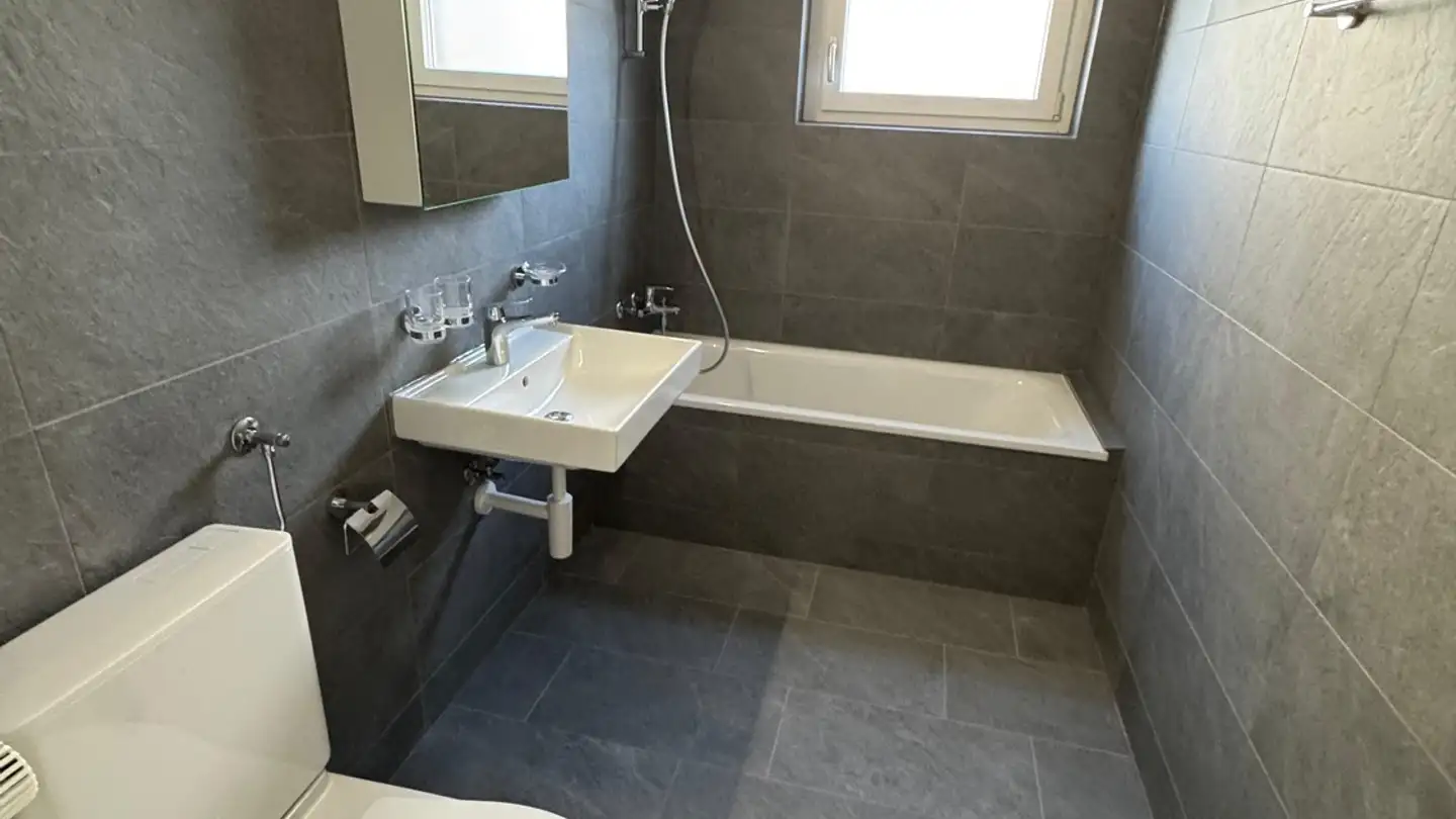 Chambre à louer - Badenerstrasse 582, 8048 Zürich