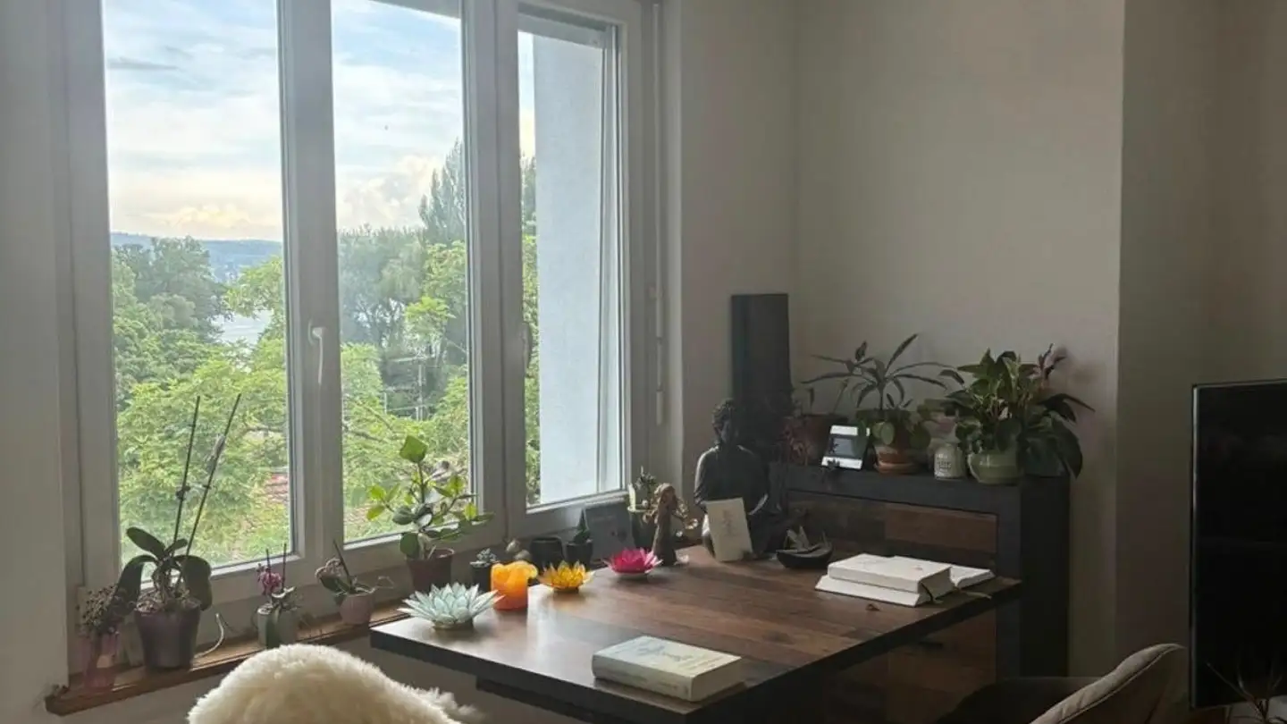 Chambre à louer - 8038 Zürich - Photo 3