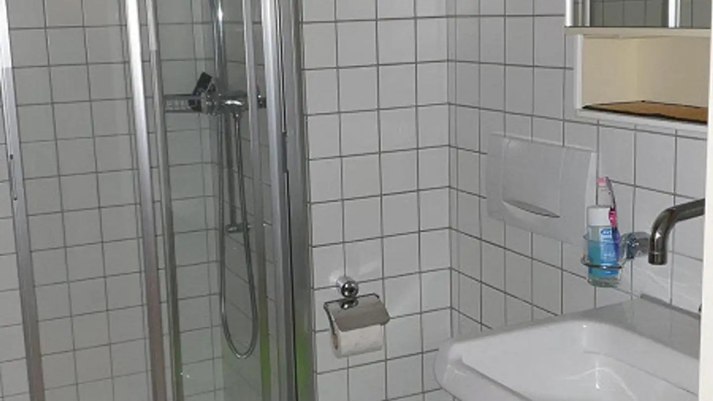 Wohnung mieten - Seestrasse 22, 6072 Sachseln - Foto 4
