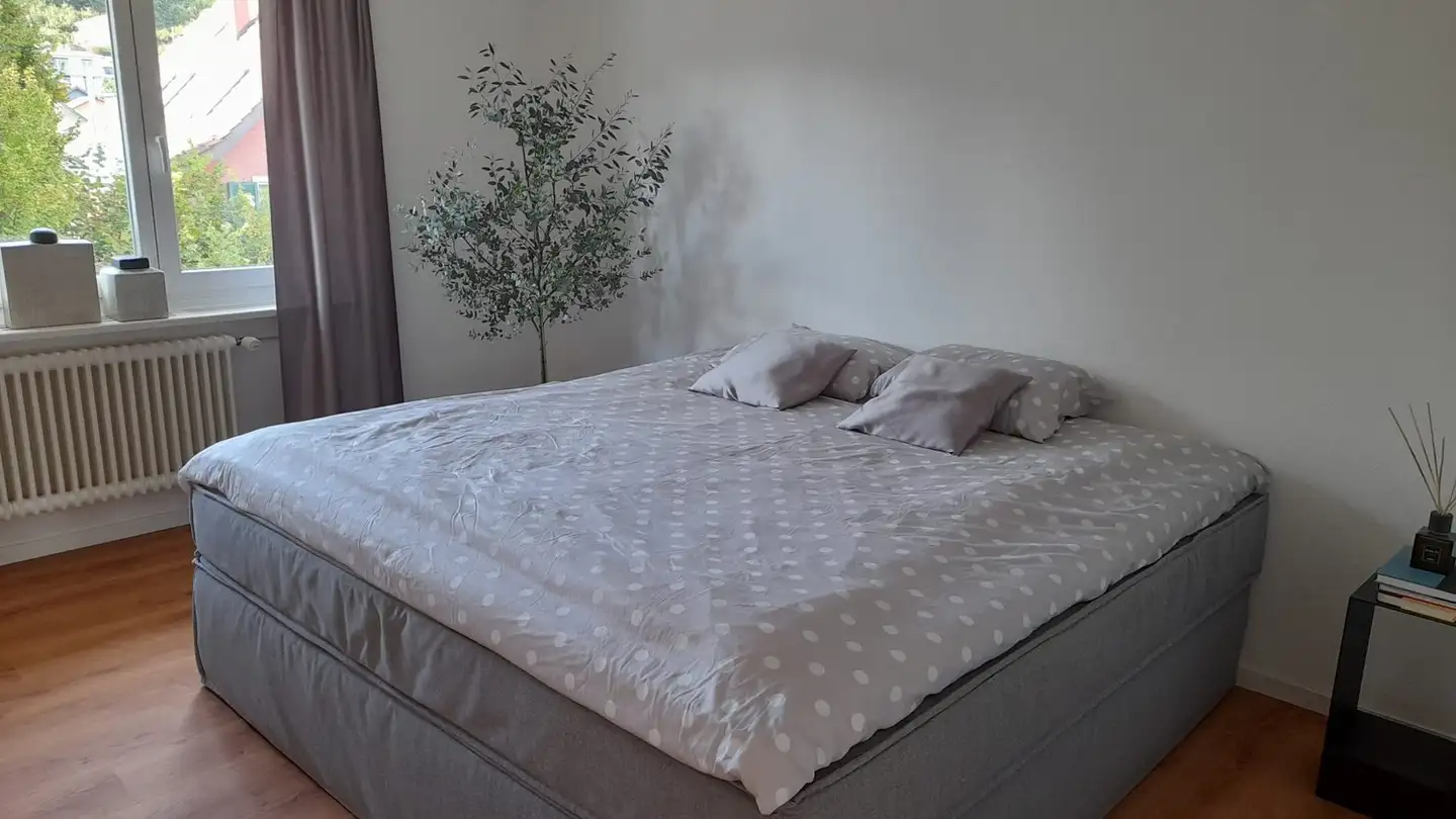 Stanza singola in affitto - 4632 Trimbach