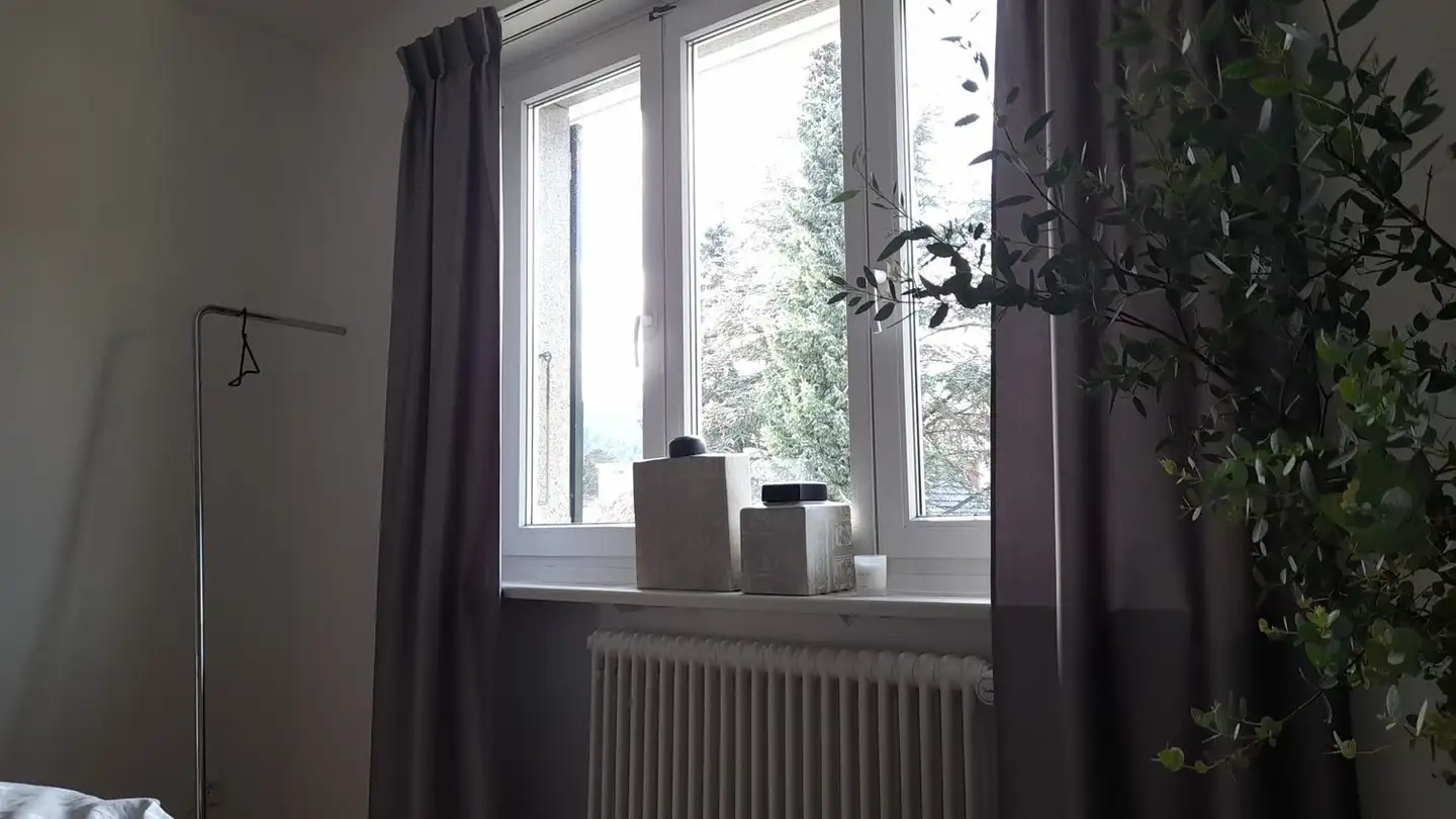 Stanza singola in affitto - 4632 Trimbach - Photo 3