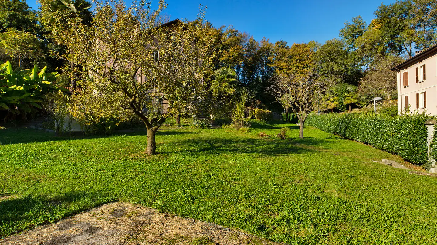 Terrain constructible à vendre - Strada Vajèe 1, 6915 Pambio-Noranco