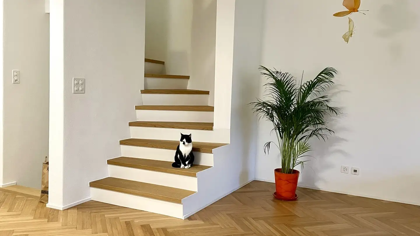 Single house for rent - Dachseggstrasse 23b, 8630 Rüti ZH - Photo 4