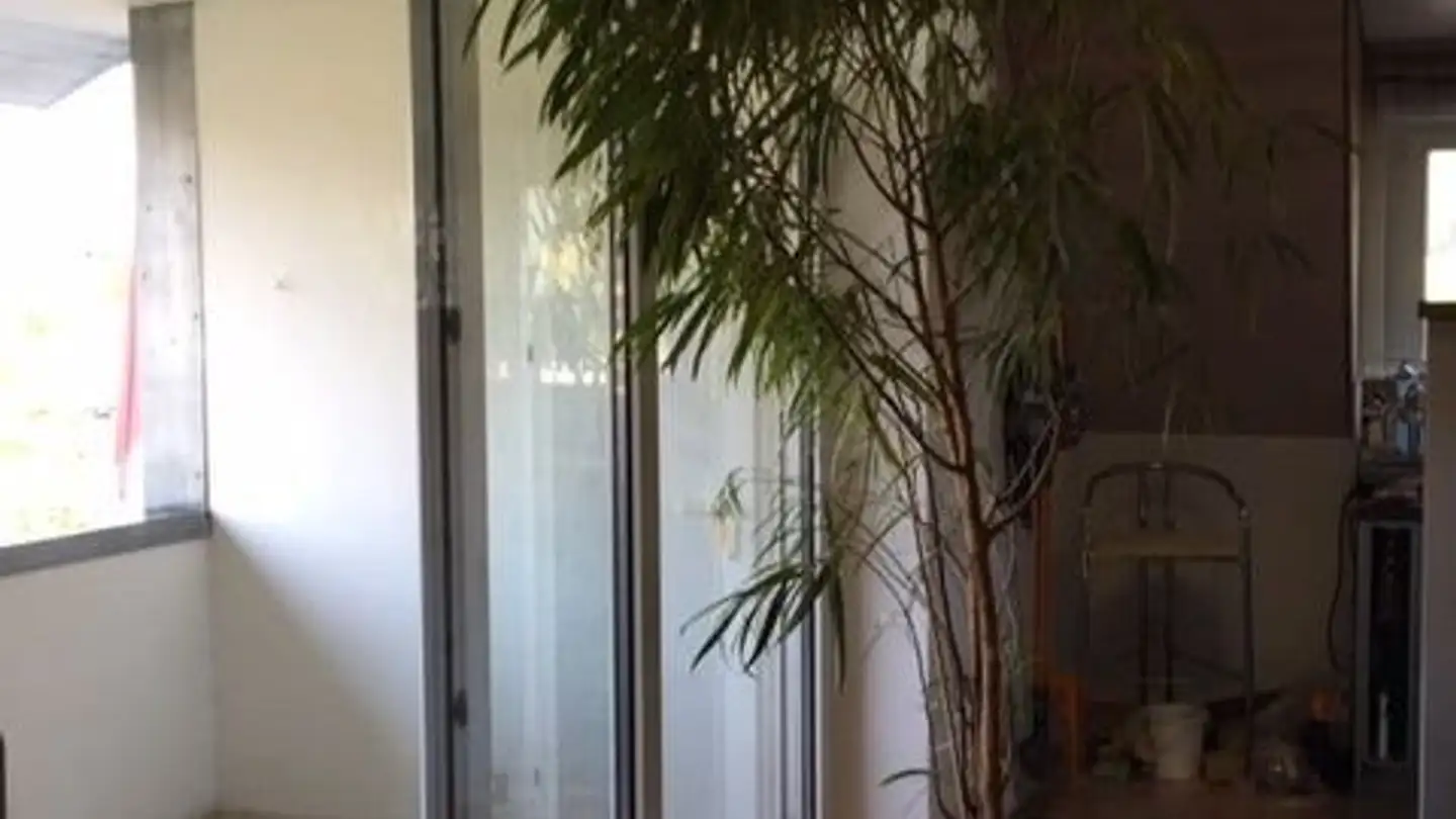 Loft in affitto - Baselstrasse 16, 4532 Feldbrunnen - Photo 3