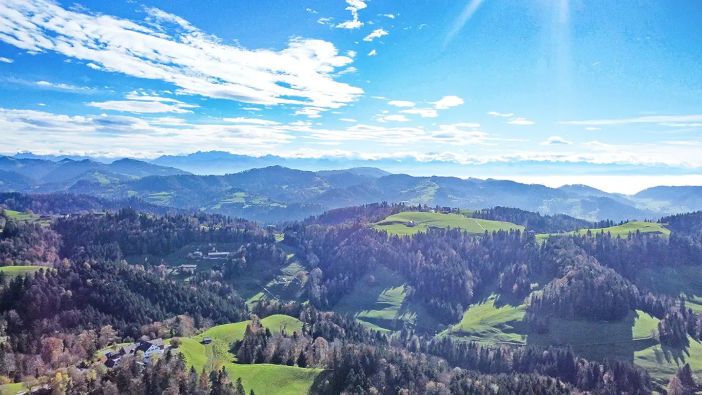 Casa singola in vendita - Mattstrasse 29, 8499 Sternenberg - Photo 4