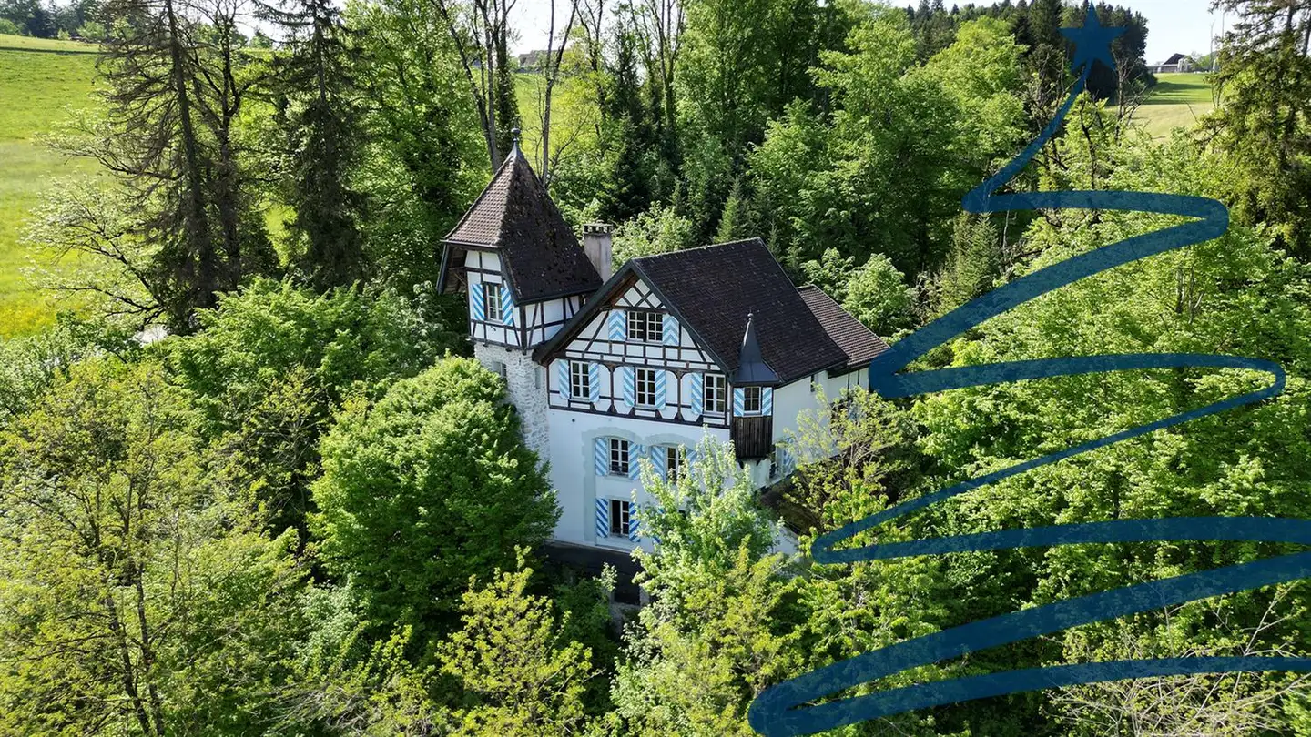 Einfamilienhaus kaufen - 6014 Luzern