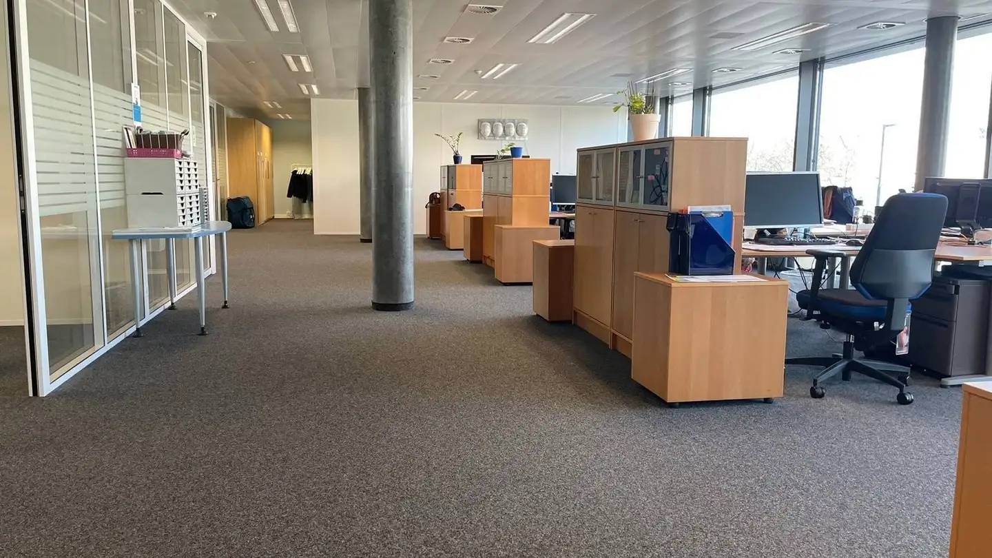 Spazio ufficio in affitto - Chemin Du Château-Bloch 11, 1219 Le Lignon - Foto 3