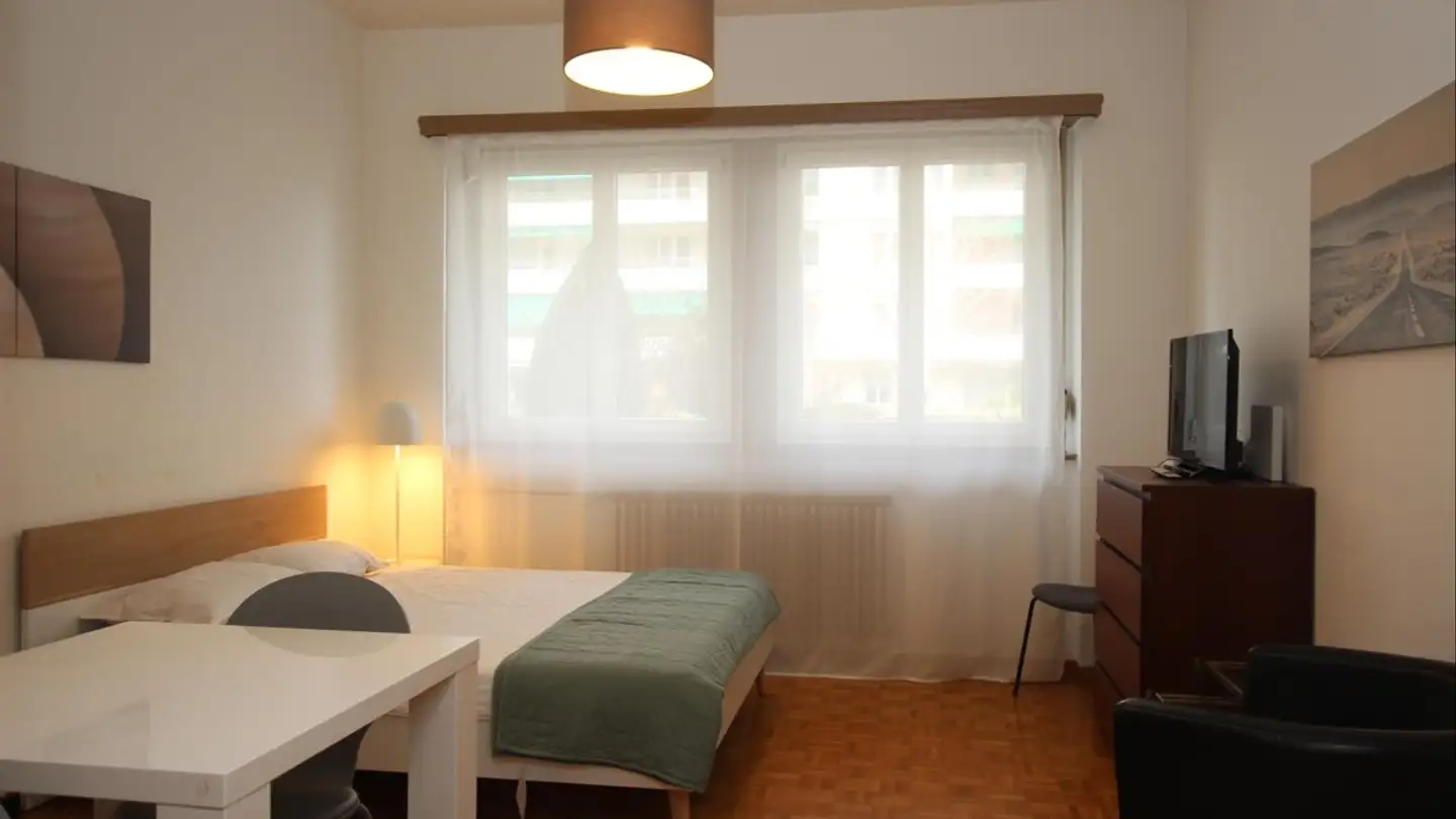 Möblierte Wohnung mieten - Rue Crespin 20, 1206 Genève - Foto 2