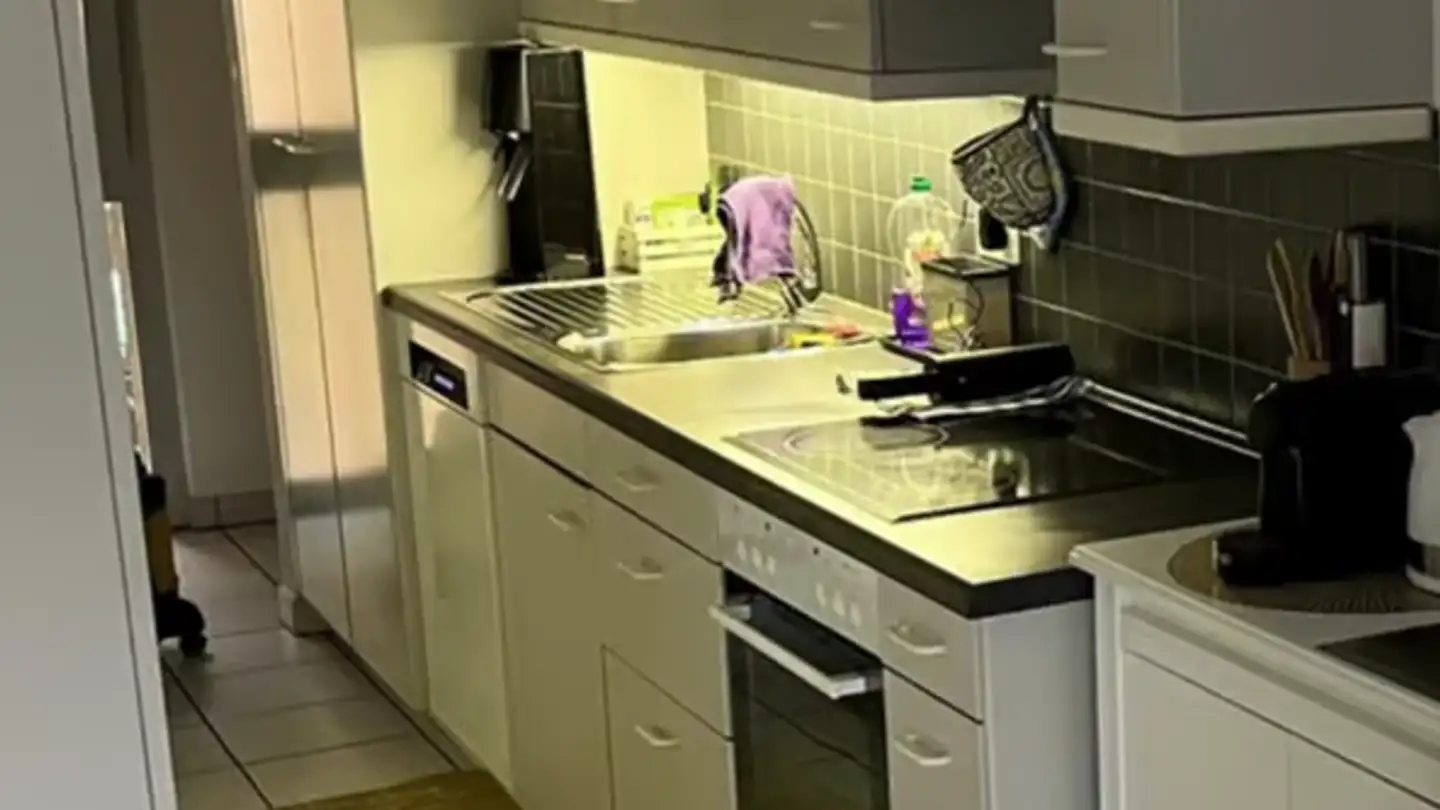 Appartamento in affitto - Via Ai Noci 3, 6710 Biasca - Foto 4