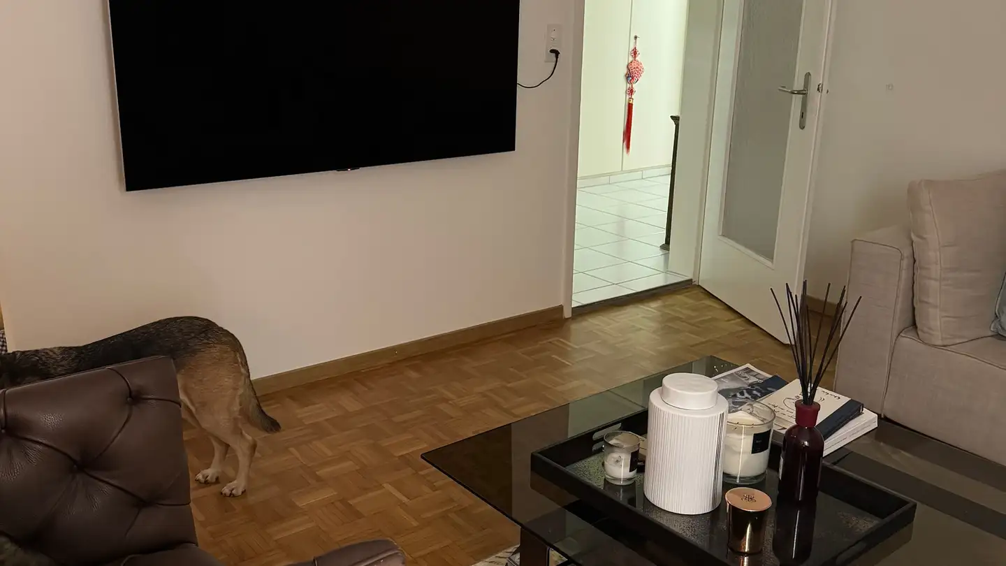 Apartment for rent - 8125 Zollikerberg - Photo 2