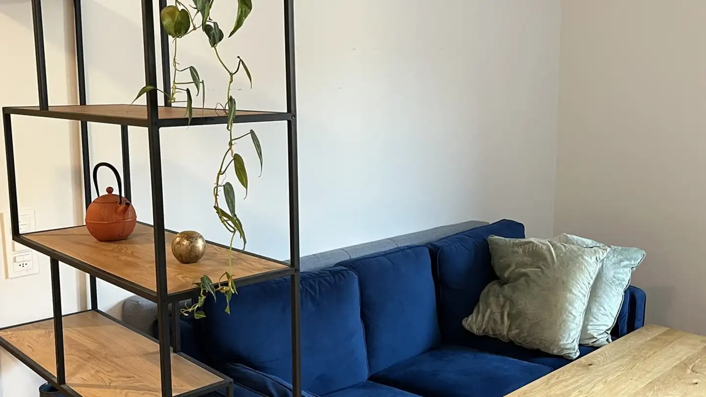 Appartamento ammobiliato in affitto - 8400 Winterthur - Photo 2