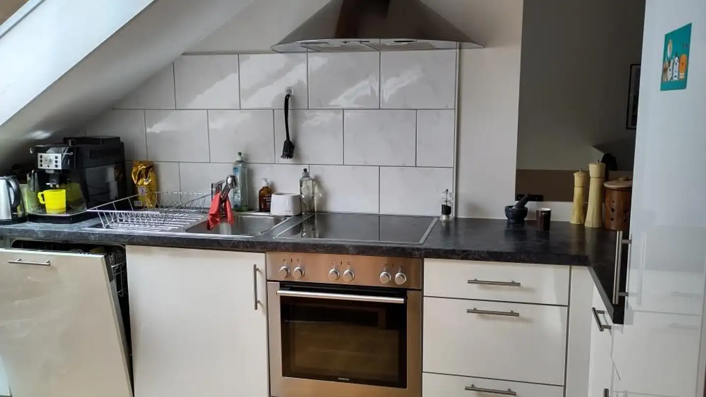 Attic flat for rent - Universitätstrasse 51, 8006 Zürich - Photo 2