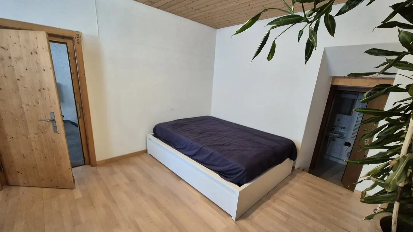 Appartement meublé à louer - 7015 Tamins - Photo 2