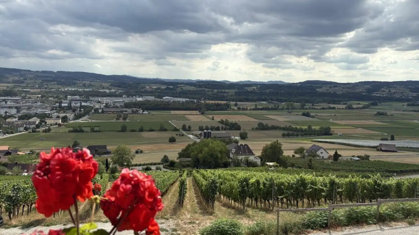 Appartement à louer - Thurbergstrasse 10, 8570 Weinfelden