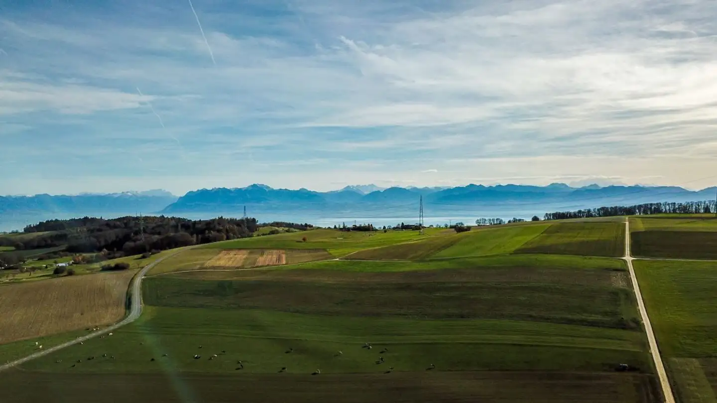 Casa singola in vendita - 1186 Essertines-sur-Rolle