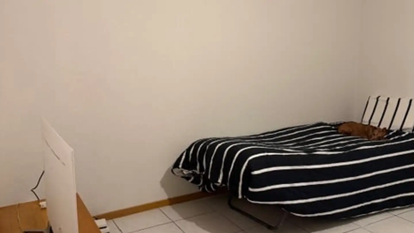 Studio à louer - Chemin Des Vergers 20, 2520 La Neuveville - Photo 2