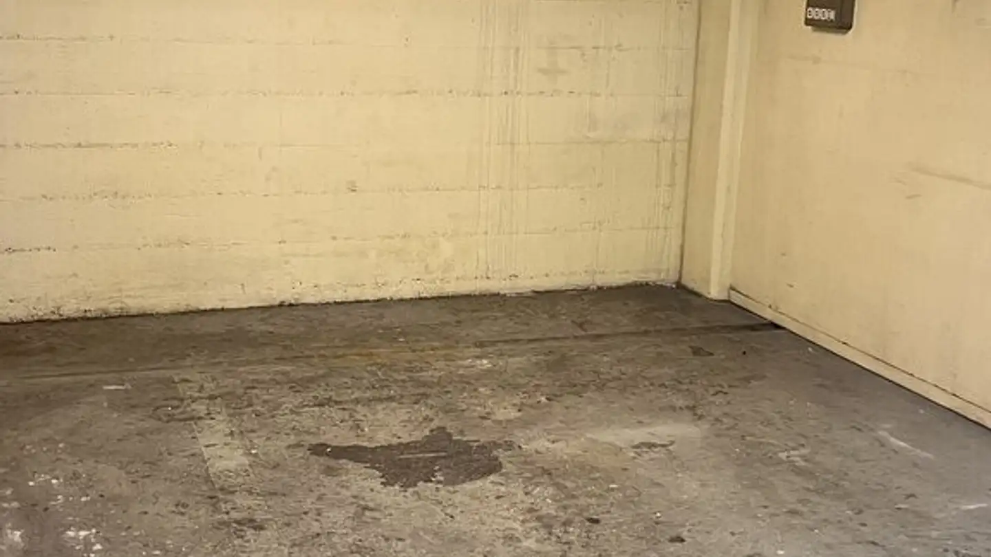 Commerciale in affitto - Avenue Des Morgines 12, 1213 Petit-Lancy - Photo 2