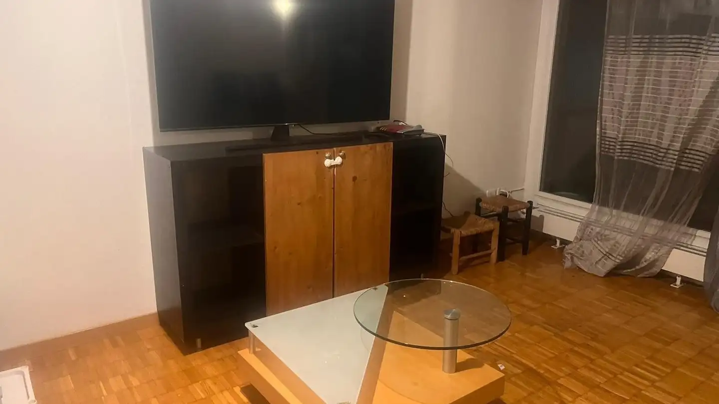 Appartamento ammobiliato in affitto - Albisstrasse 55, 8134 Adliswil - Photo 3