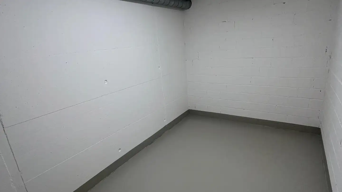 Espace de stockage à louer - Tösstalstrasse 60, 8486 Rikon im Tösstal - Photo 3