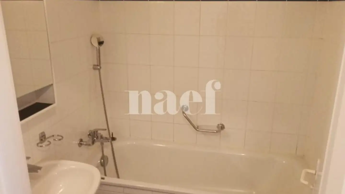 Appartement à louer - Rue Jacques- Grosselin 18, 1227 Carouge GE - Photo 3