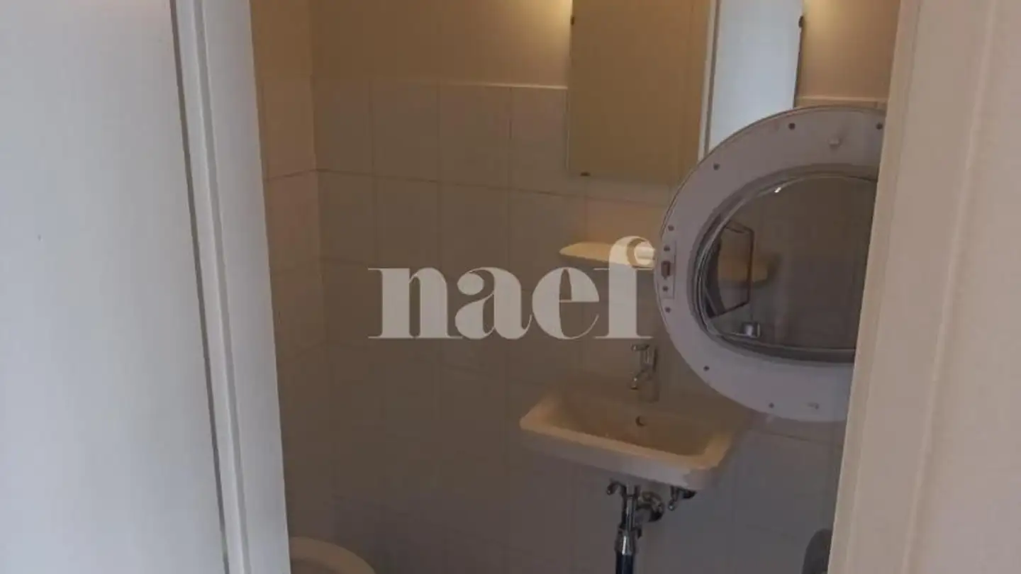 Appartement à louer - Rue Jacques- Grosselin 18, 1227 Carouge GE - Photo 4