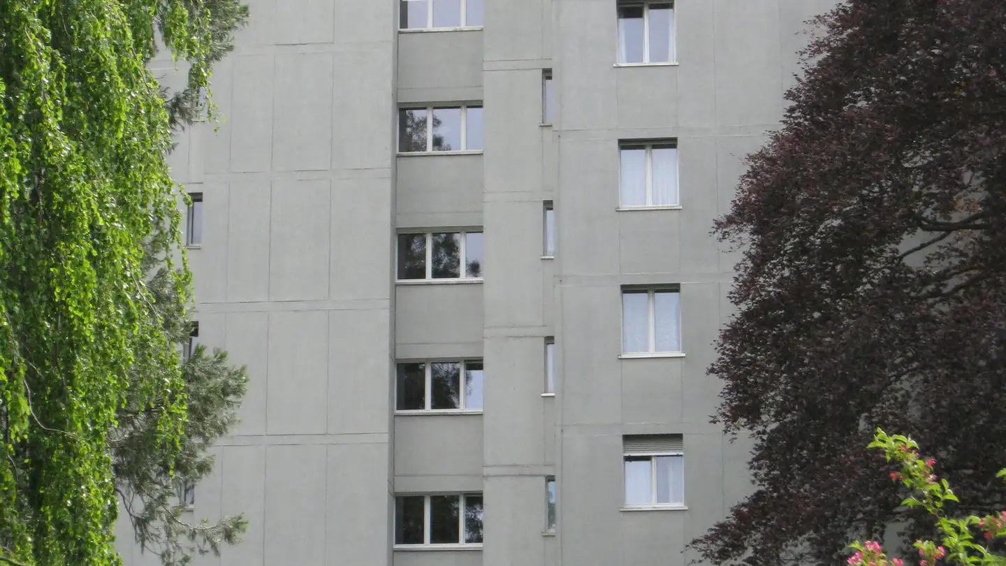Wohnung mieten - Landstrasse 55, 8750 Glarus