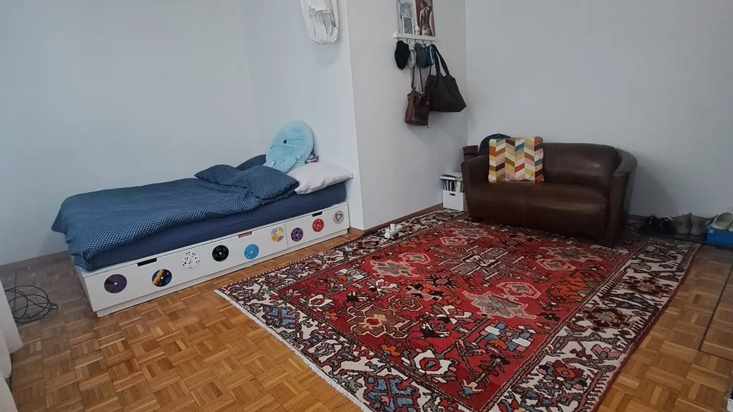 Appartamento in affitto - Avenue De Gilamont 54, 1800 Vevey - Foto 2