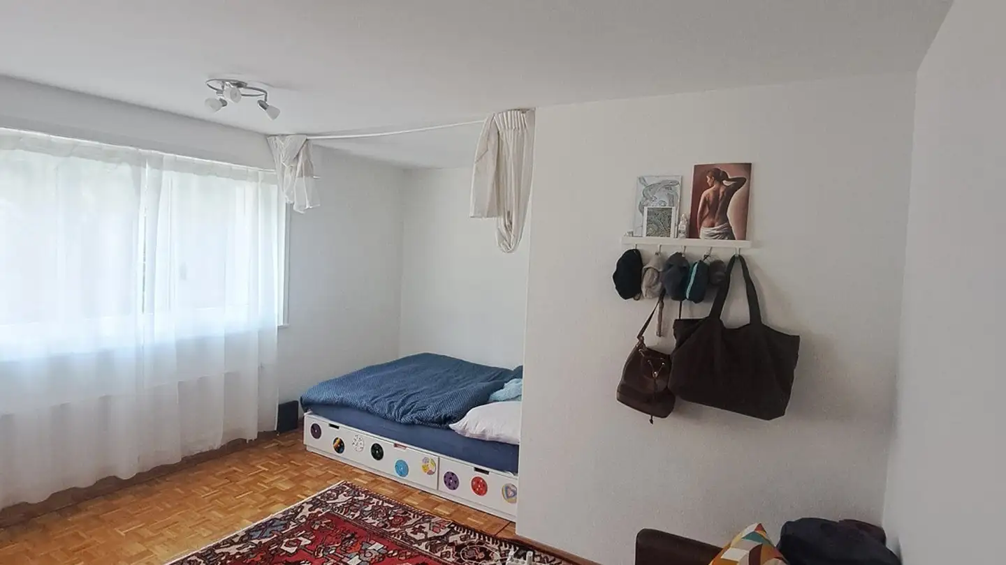 Appartamento in affitto - Avenue De Gilamont 54, 1800 Vevey