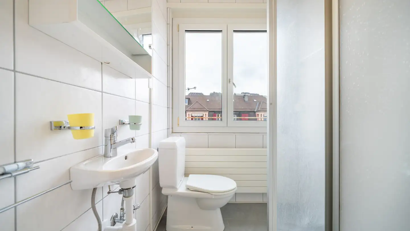 Appartamento in affitto - Boulevard De Grancy 37, 1006 Lausanne - Photo 4