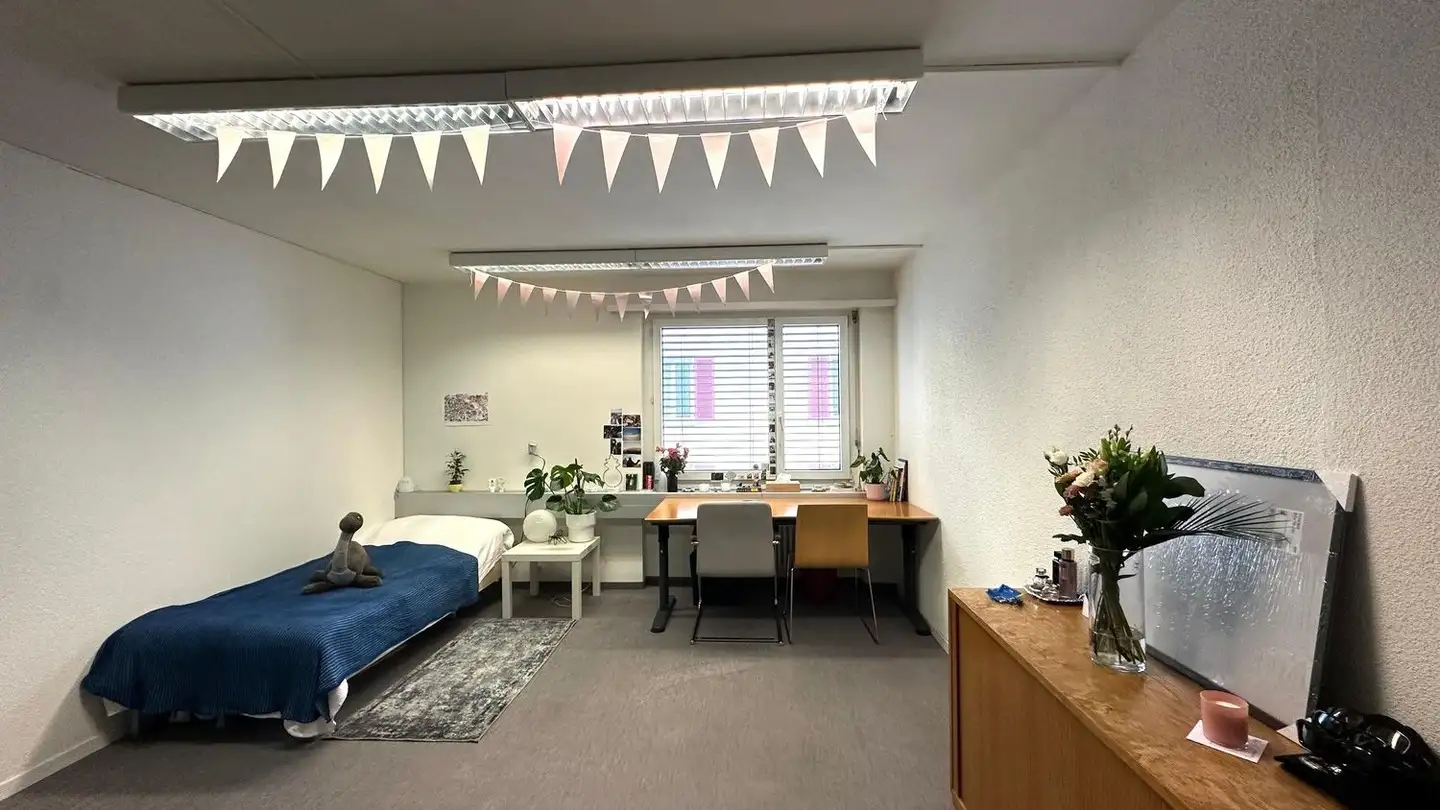 Zimmer mieten - Eduard-Steiner-Strasse 7, 8400 Winterthur
