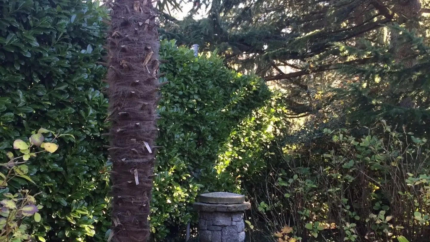 Casa singola in vendita - 6966 Villa Luganese - Foto 4