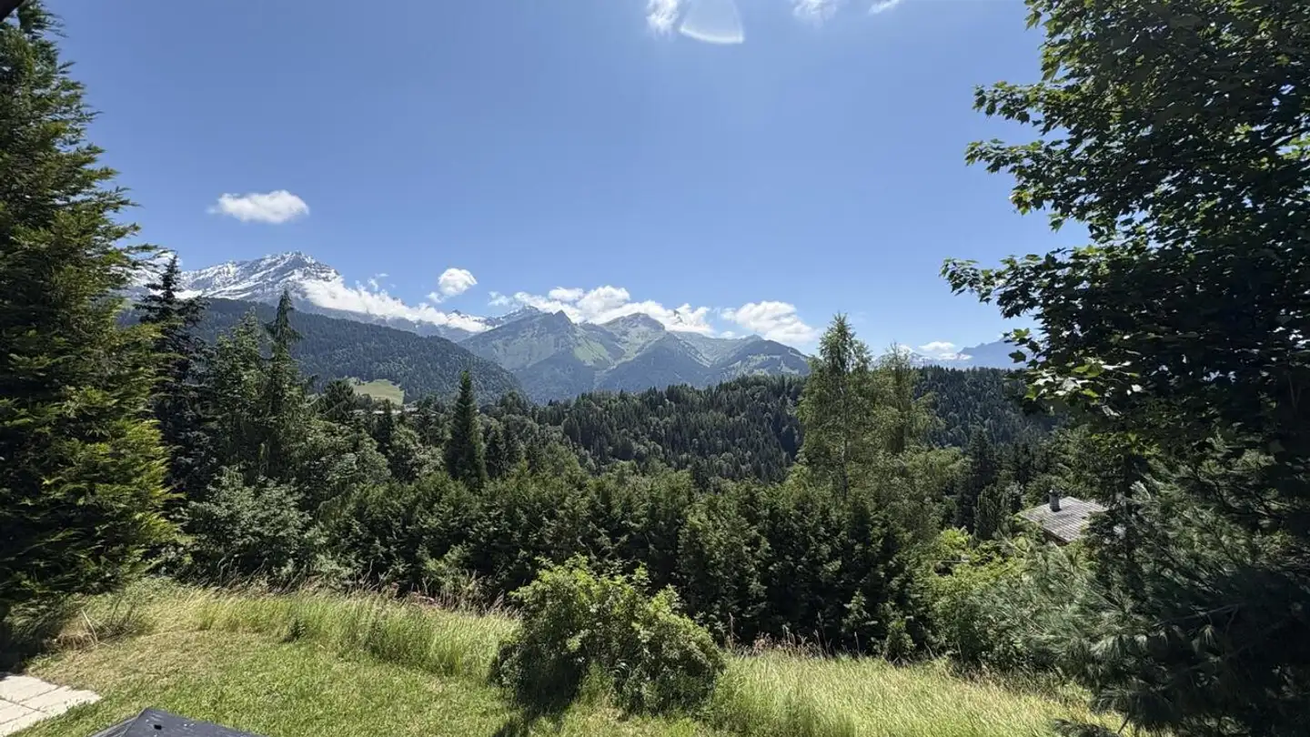Chalet in vendita - 1884 Villars-sur-Ollon - Photo 3