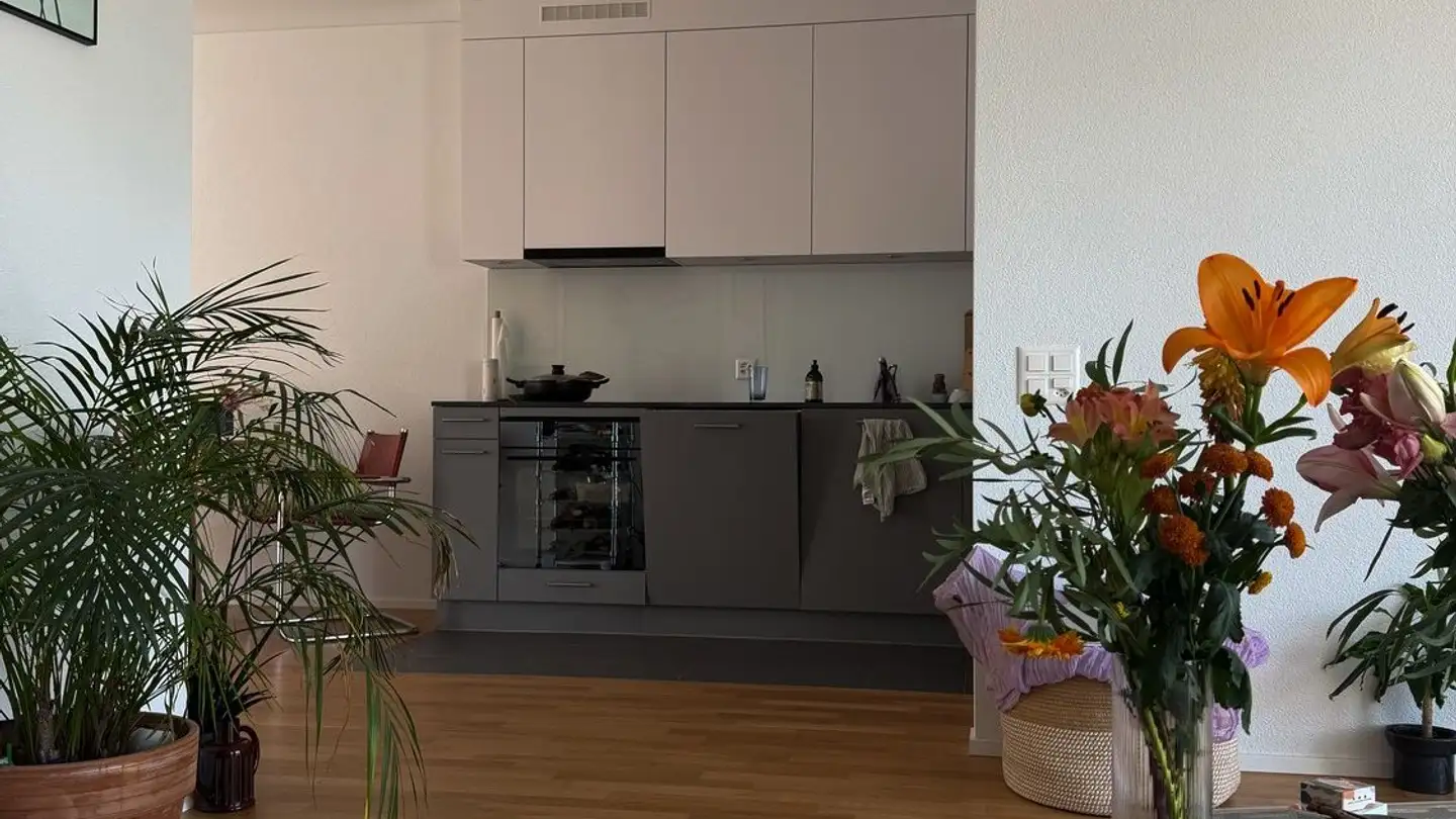 Appartamento in affitto - Nidfeldstrasse, 6010 Kriens