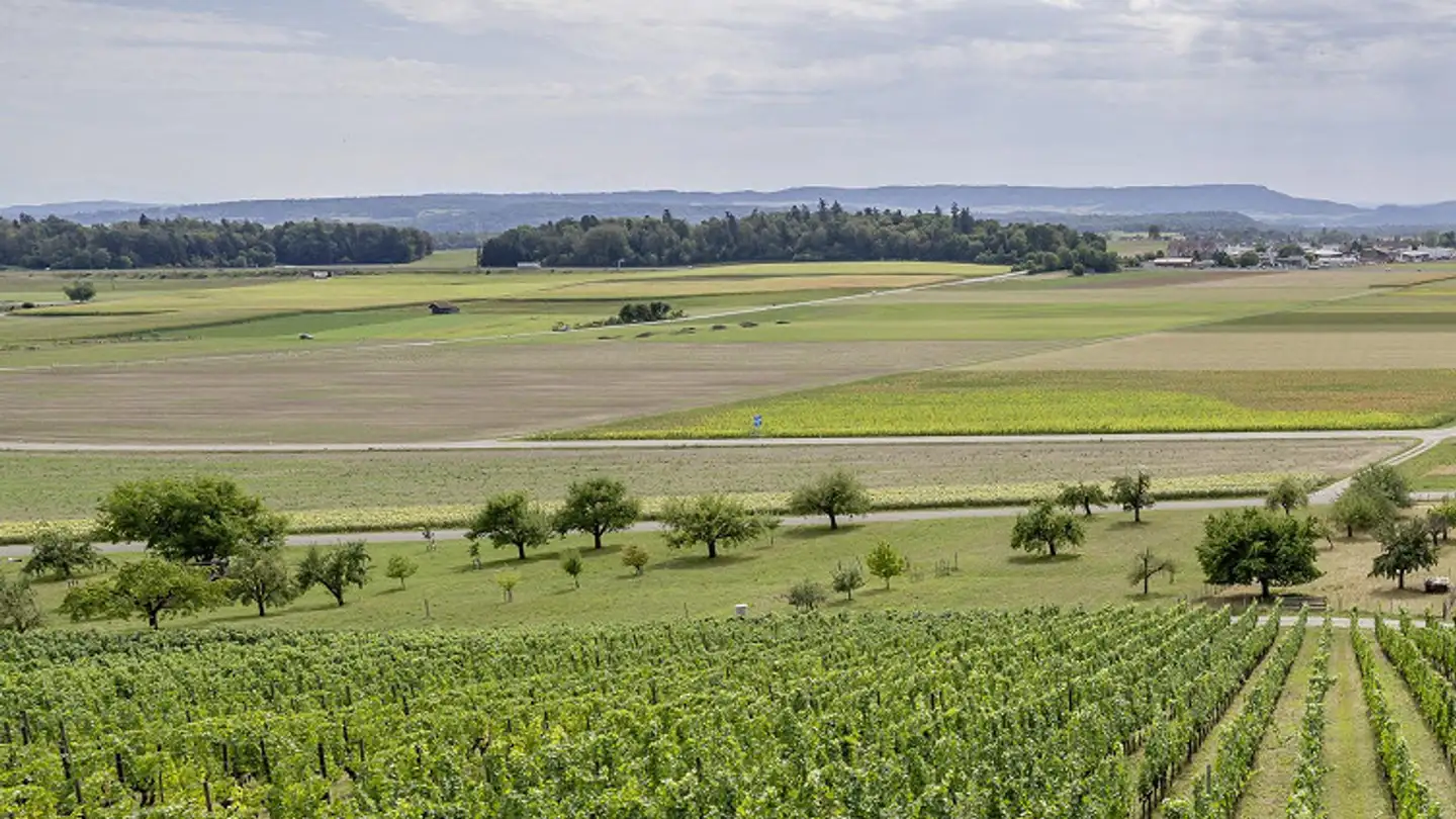 Agricultural business for sale - 8466 Trüllikon - Photo 3