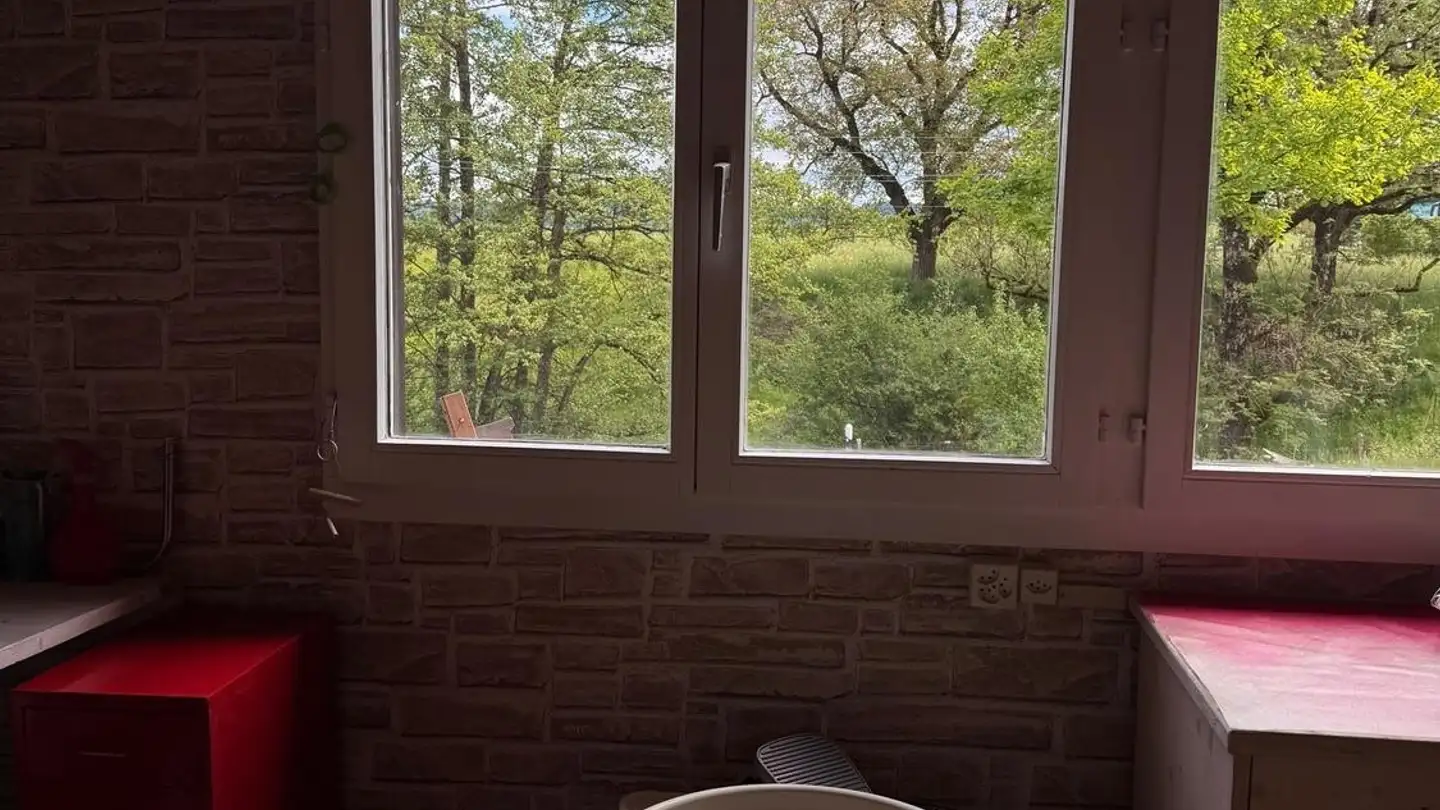 Commercial à louer - Robankstrasse, 8620 Wetzikon ZH - Photo 3