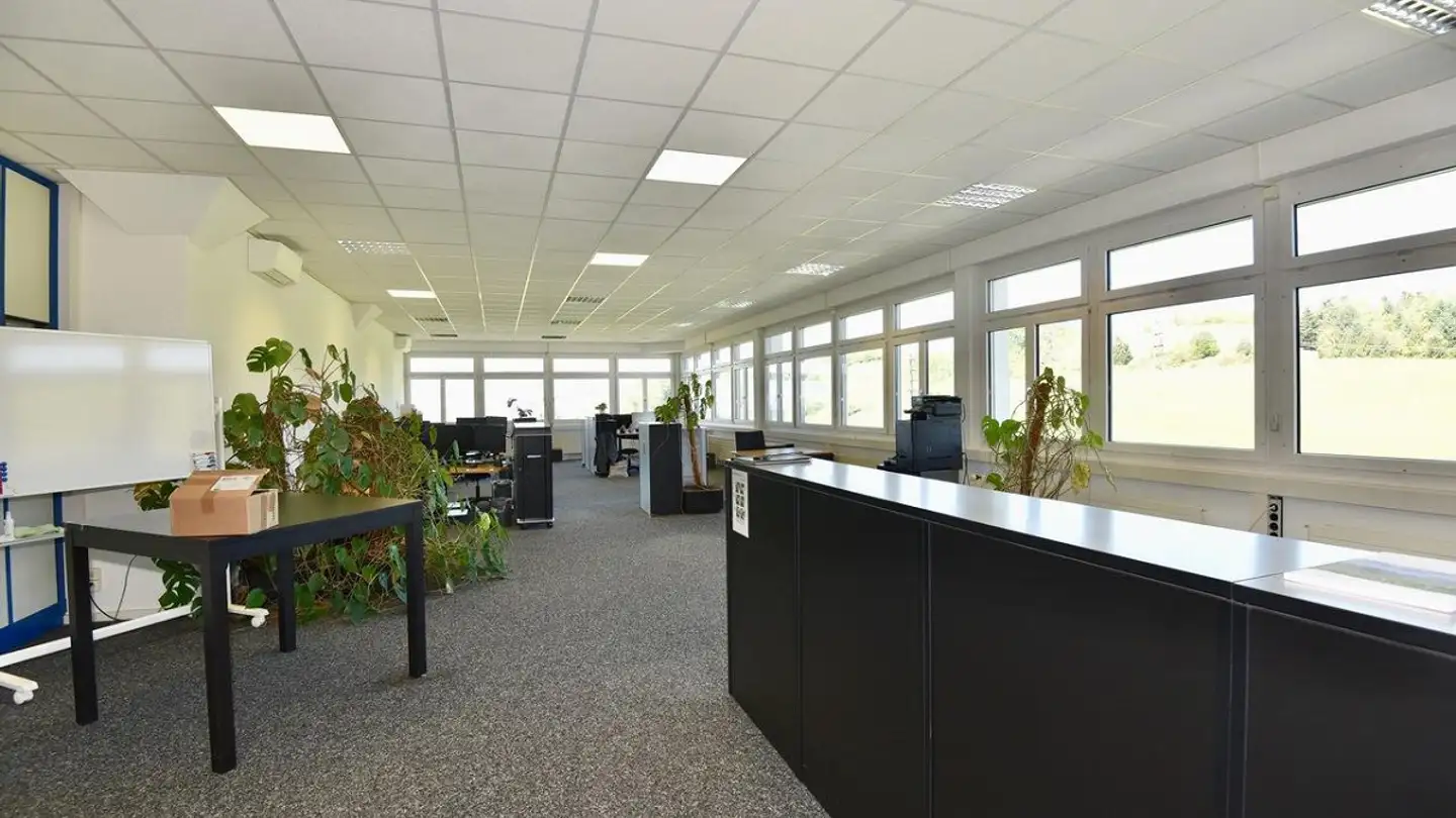 Commercial à louer - Artherstrasse 60, 6405 Immensee