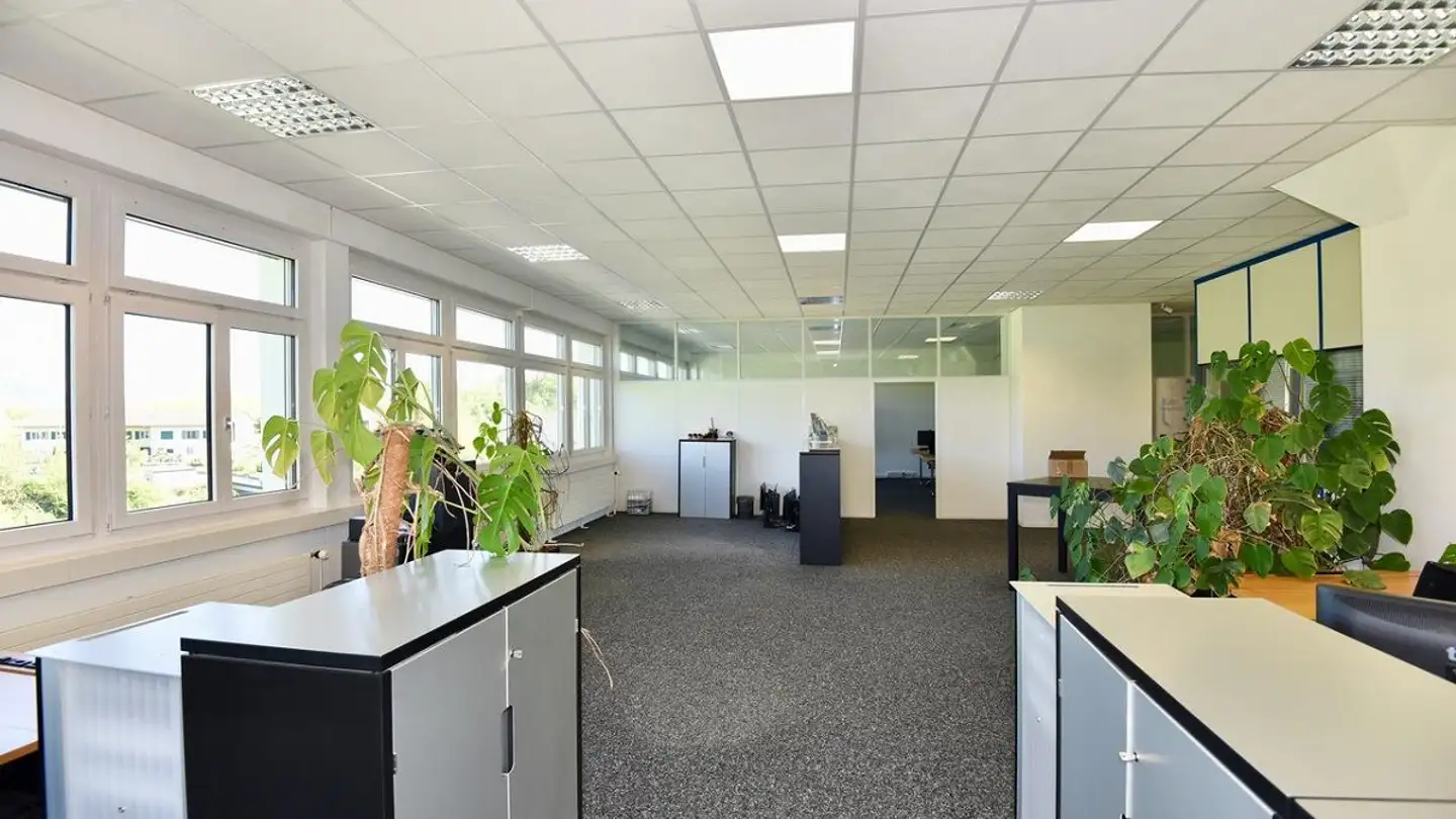Commercial à louer - Artherstrasse 60, 6405 Immensee - Photo 2