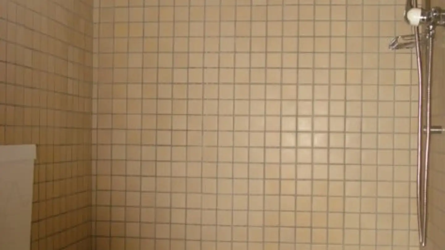 Appartement à louer - Dorniackerstrasse 9, 3322 Urtenen-Schönbühl - Photo 3